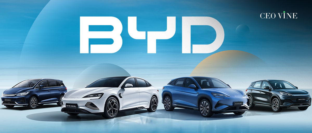 The world of EVs